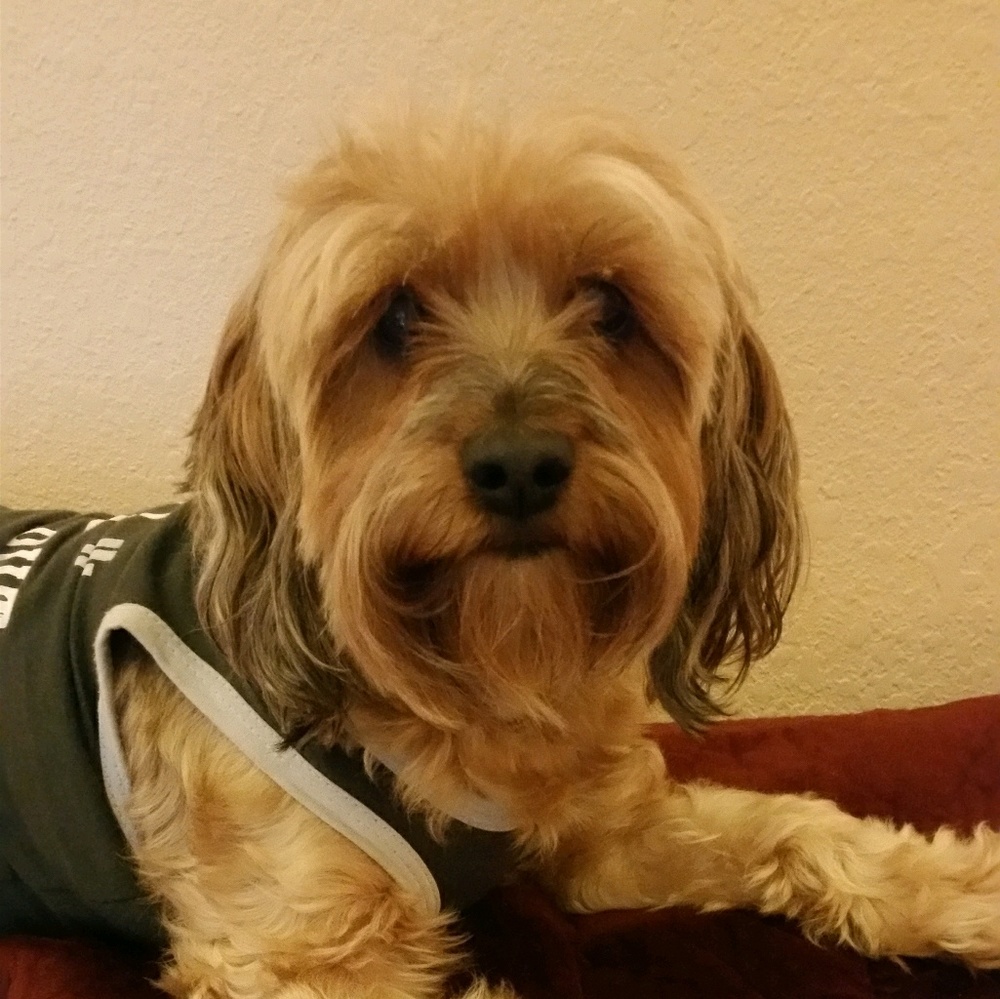 Meet your Posher, Kary